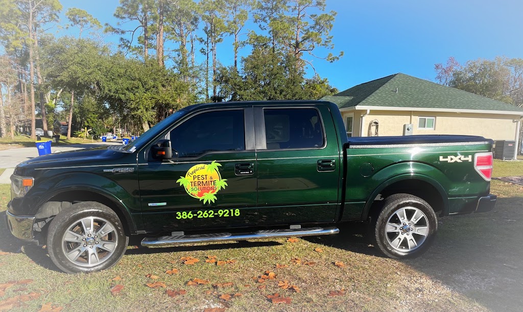 Tropical Pest and Termite Solutions | 2729 Unity Tree Dr, Edgewater, FL 32141, USA | Phone: (386) 262-9218