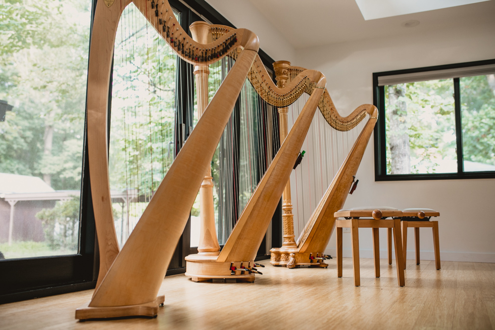 Leigh Stringfellow, Harpist | 704 Hillsborough Rd, Carrboro, NC 27510, USA | Phone: (253) 677-3060