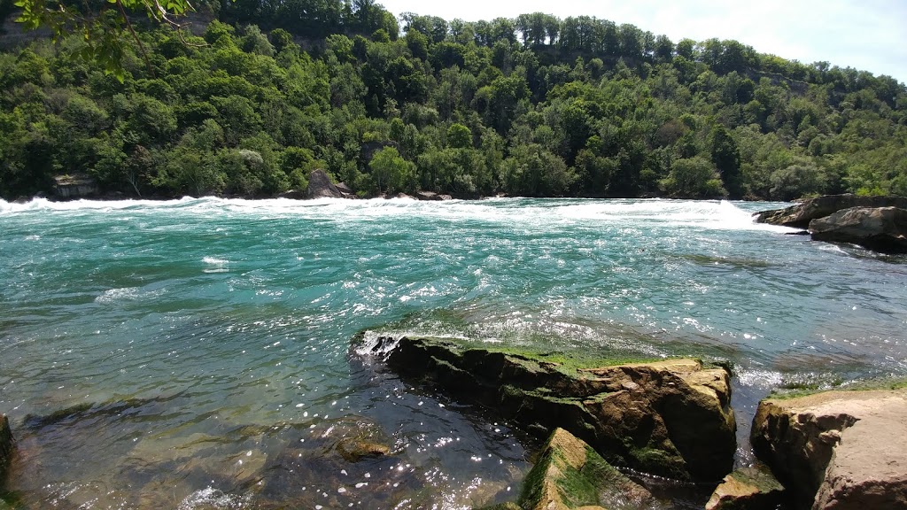 Upper Whirlpool Trails, Niagara River Whirlpool, Canada | 4013, 4009 Niagara Pkwy, Niagara Falls, ON L2E 3E8, Canada | Phone: (877) 642-7275