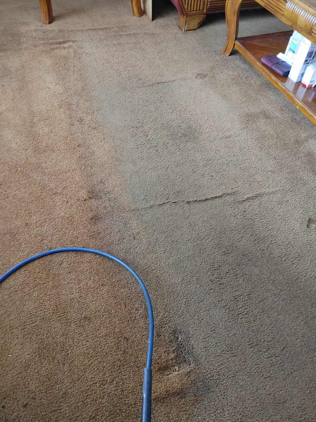 Kleanaway Carpet and Tile Cleaning | 11115 McMullen Rd, Riverview, FL 33569, USA | Phone: (813) 992-5248