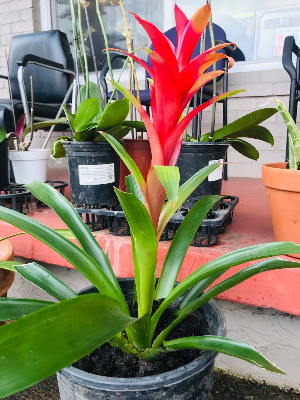 A-Barber | 4276 Williams Rd, San Jose, CA 95129, USA | Phone: (408) 623-6037