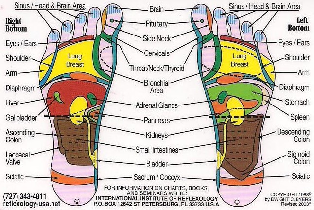 Jasmin Reflexology | 7321 W Montrose Ave, Norridge, IL 60706, USA | Phone: (773) 979-5351