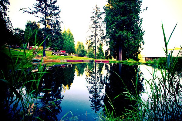 Camp Gilead | 30919 NE Carnation Farm Rd, Carnation, WA 98014, USA | Phone: (425) 333-4311