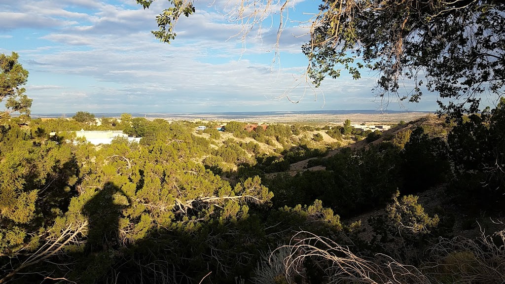 Mesa Verde Resources | 350 Cabezon Rd #318, San Ysidro, NM 87053, USA | Phone: (505) 362-3777