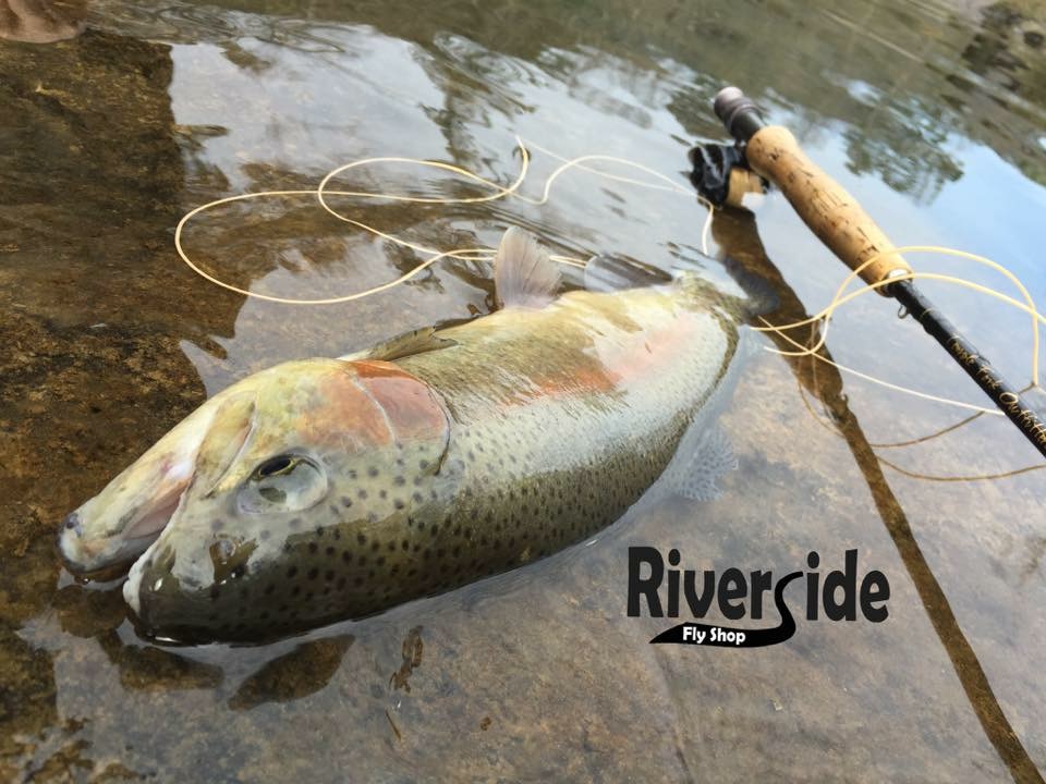 Riverside Fly Shop | 17027 AL-69, Bremen, AL 35033, USA | Phone: (256) 287-9582