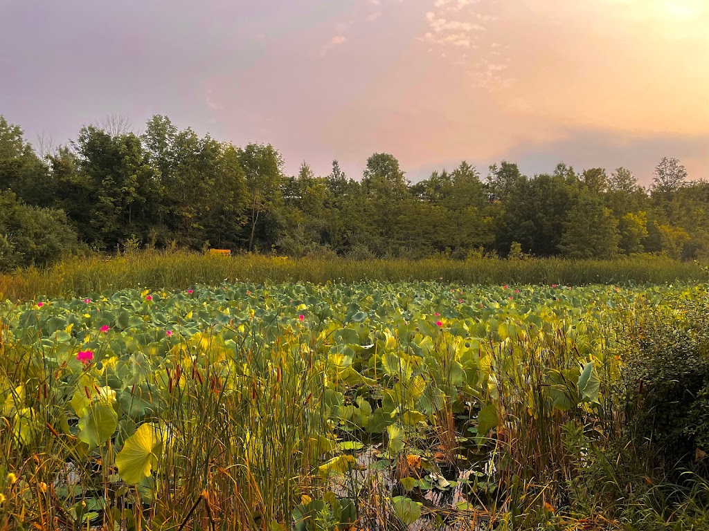 Wetlands Park East | 6950 Lesourdsville West Chester Rd, Liberty Township, OH 45011, USA | Phone: (513) 759-7500