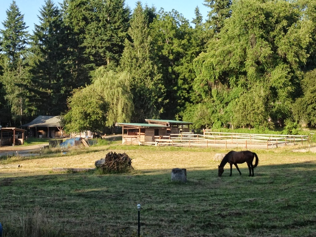 Brackenhollow Stables | 6367 208th Ave NE, Redmond, WA 98053, USA | Phone: (425) 868-8310