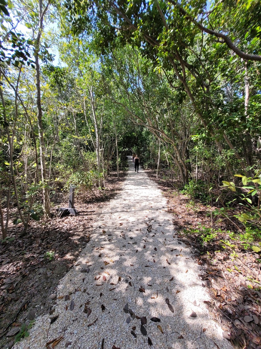 Windley Key Fossil Reef Geological State Park | 84900 Overseas Hwy, Islamorada, FL 33036, USA | Phone: (305) 664-2540