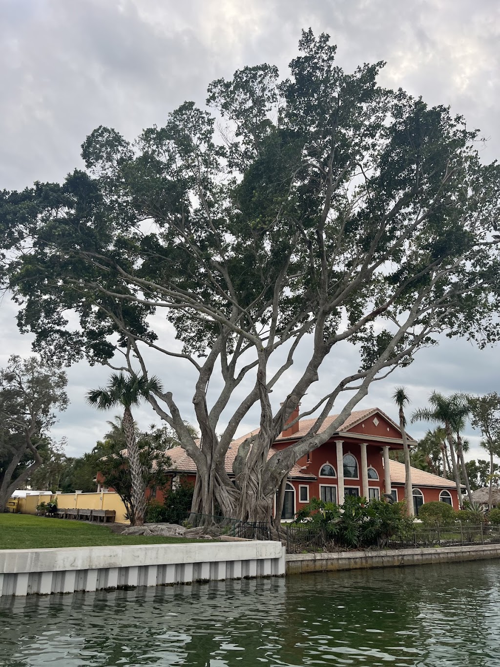 High Tide Tiki Tours | 1250 Stickney Point Rd, Siesta Key, FL 34242, USA | Phone: (941) 346-8200