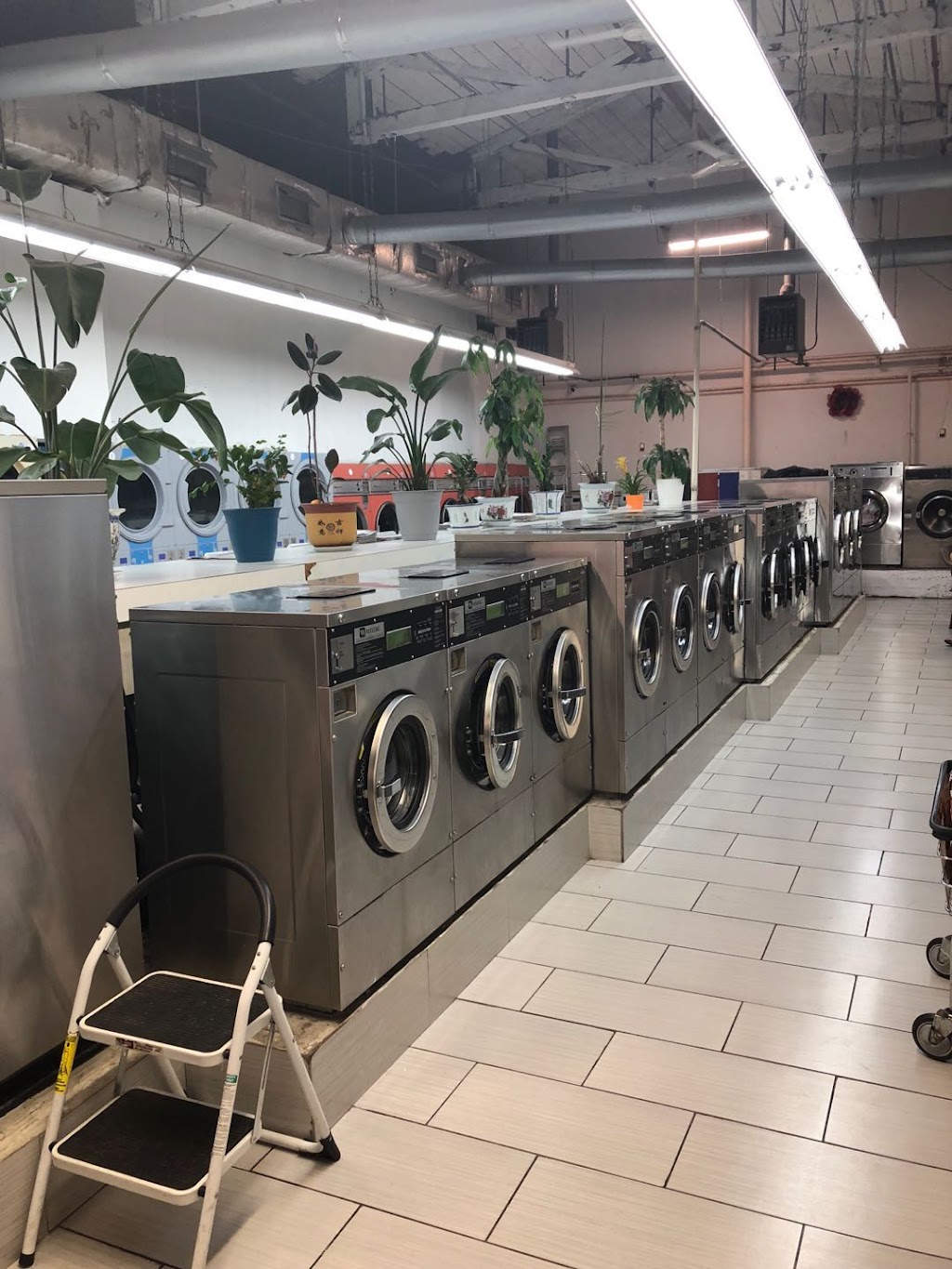 Lodi Super Laundromat | 2 Mercer St, Lodi, NJ 07644, USA | Phone: (973) 330-7919