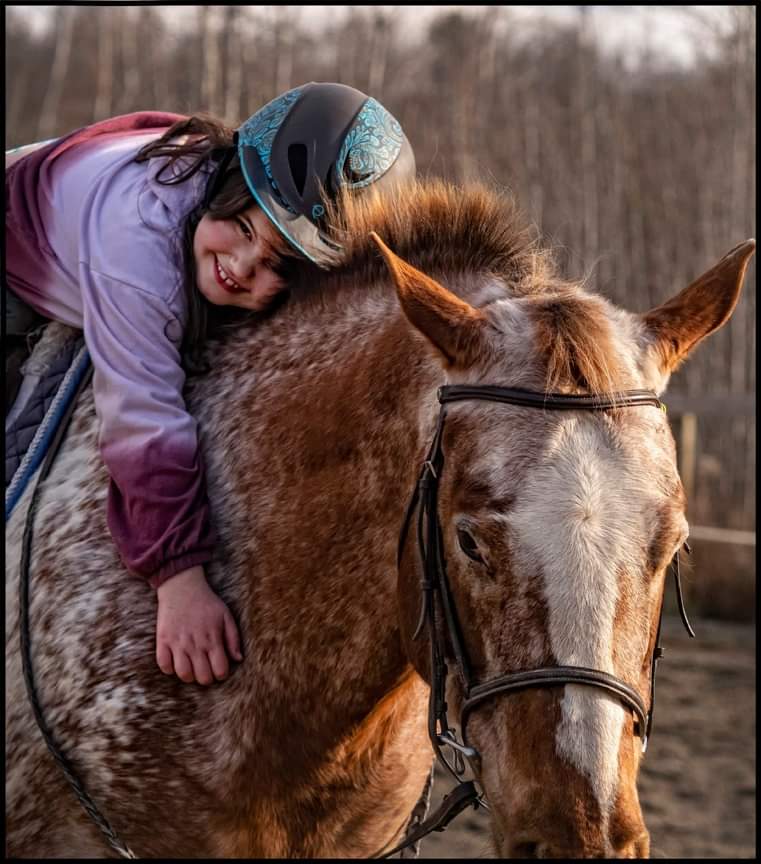 Open Arms Equestrian Center | 75 Eastern Pkwy, Germantown, NY 12526, USA | Phone: (518) 676-2767