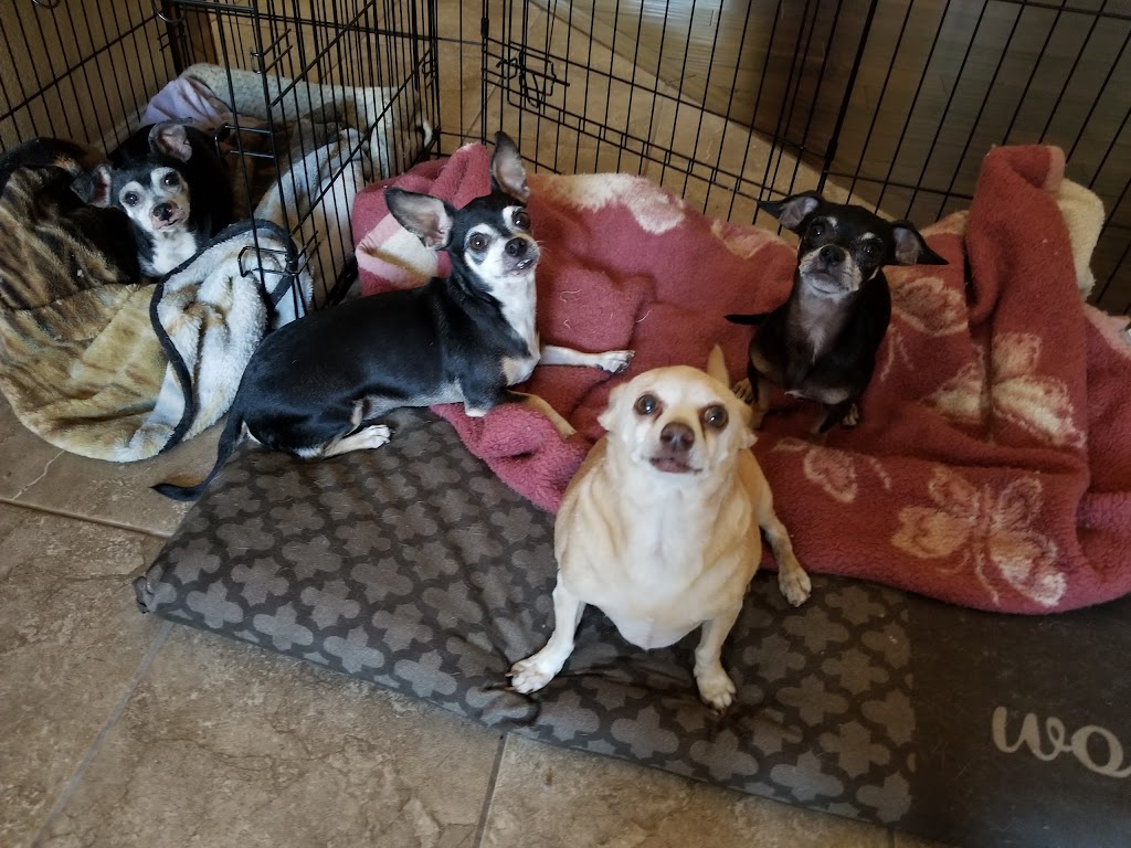 Sunset345sohui | 6349 Edgewood Way, Rocklin, CA 95677, USA | Phone: (916) 300-1512