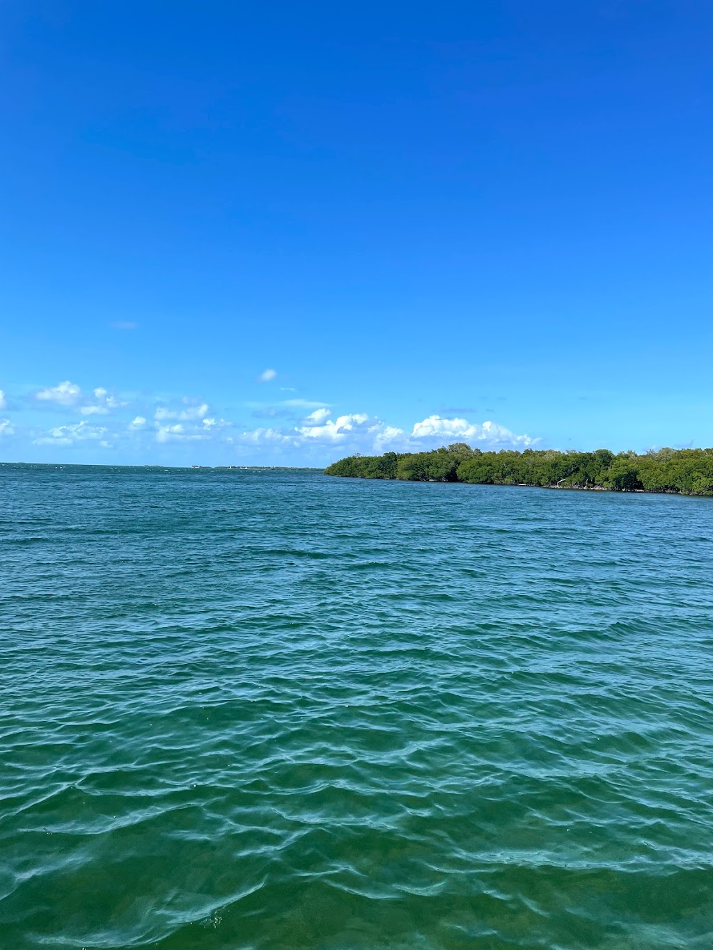 Biscayne Bay Flats Fishing Guide | 3400 Pan American Dr, Miami, FL 33133 | Phone: (954) 536-6646