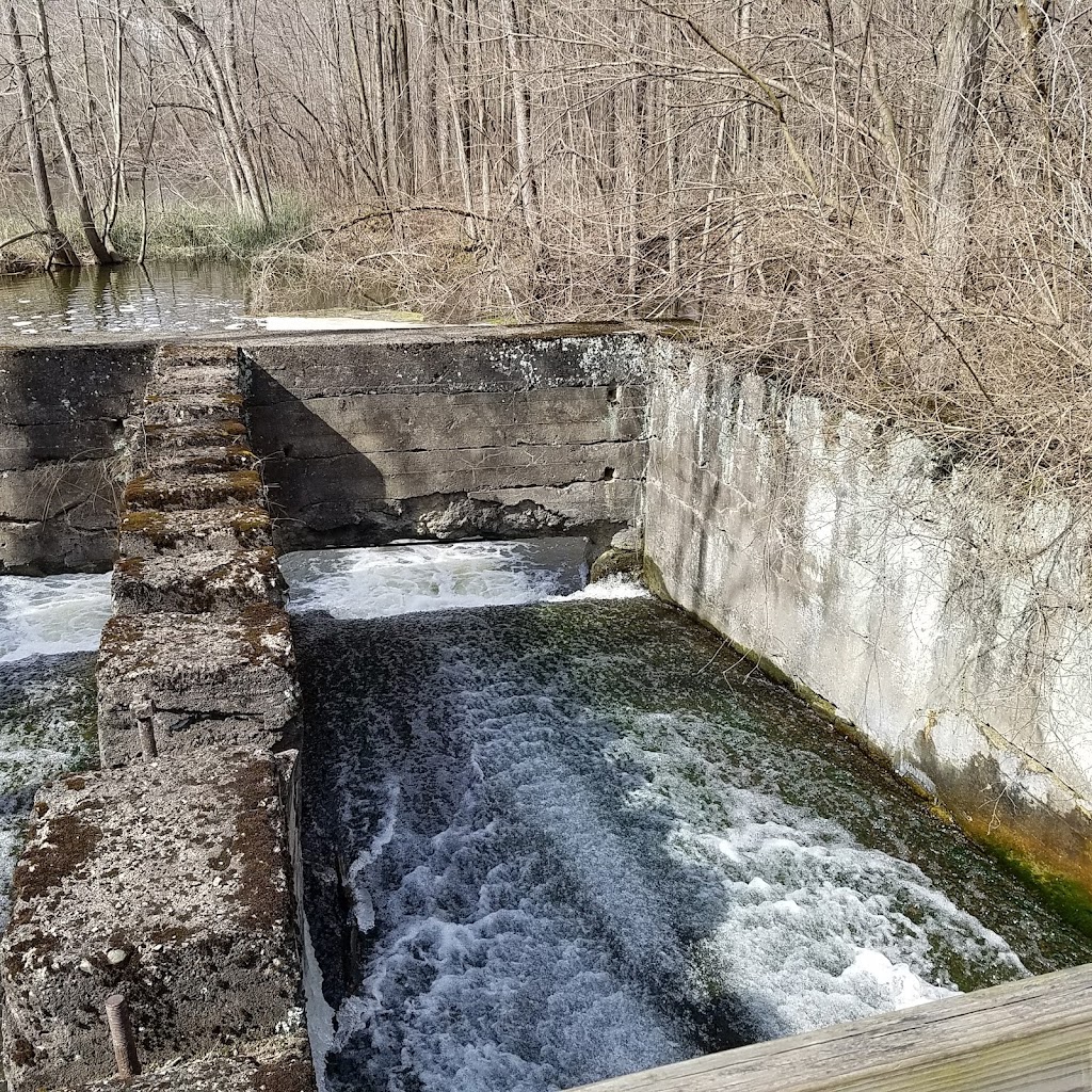 Benton Dam ‒ River Preserve County Park | 68552 Co Rd 31, New Paris, IN 46553, USA | Phone: (574) 535-6458