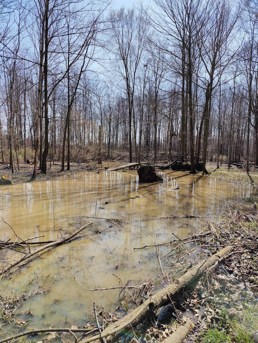 Lower River Rouge Recreation Trail | S Canton Center Rd, Canton, MI 48188, USA | Phone: (734) 394-5100