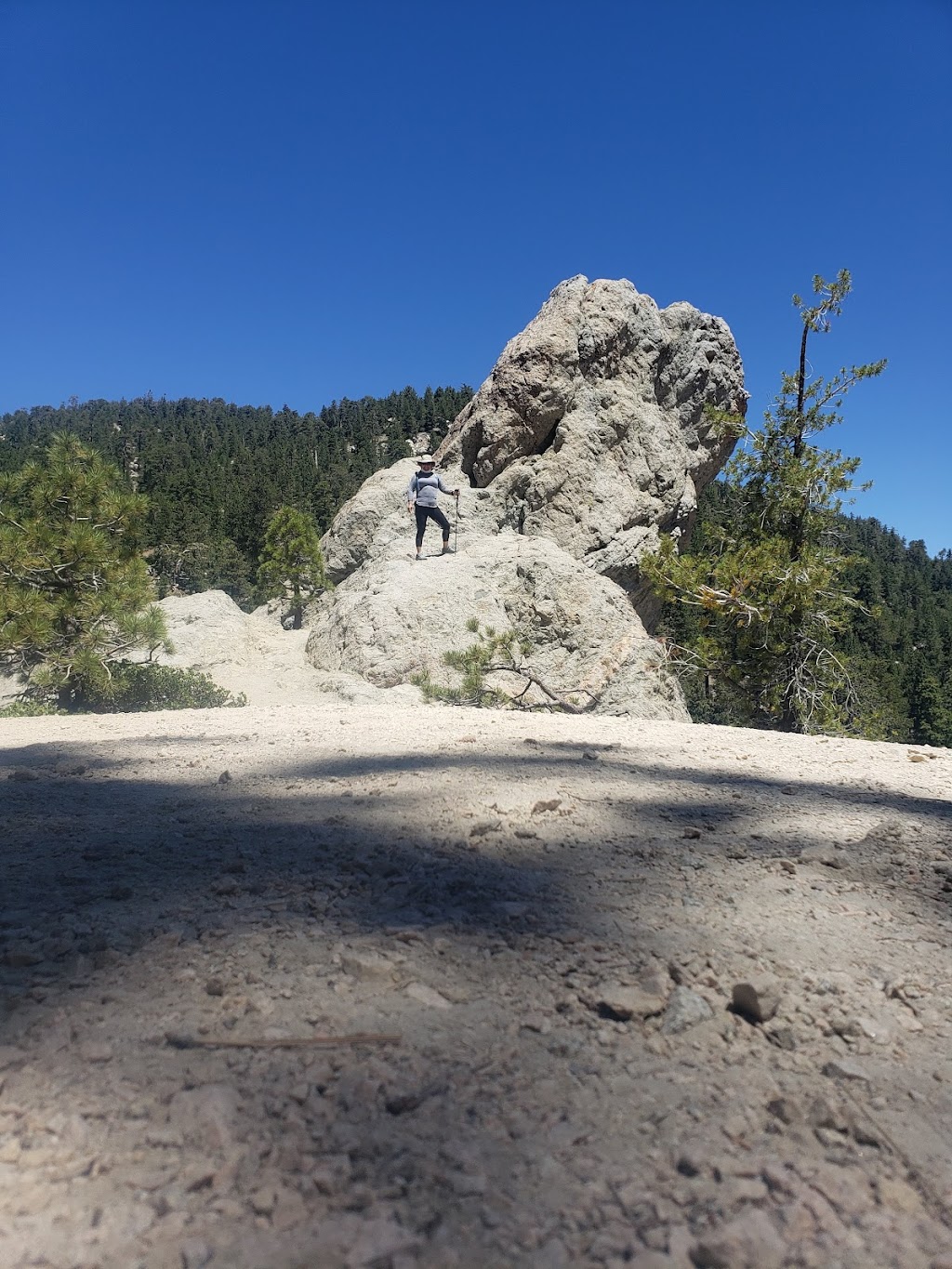 Burkhart Trail to Cooper Canyon Falls | Burkhart Trail, Pearblossom, CA 93553, USA | Phone: (626) 574-1613