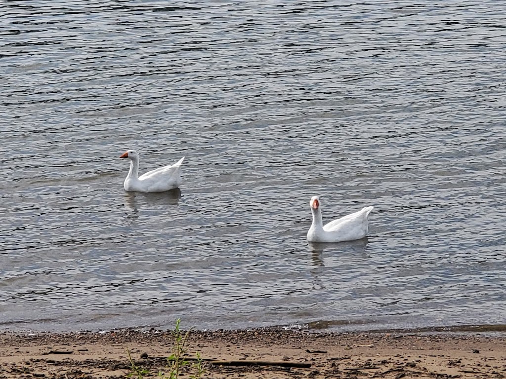 White Oak Creek Marina & Campground | 3068 US-52, Georgetown, OH 45121, USA | Phone: (513) 502-0657