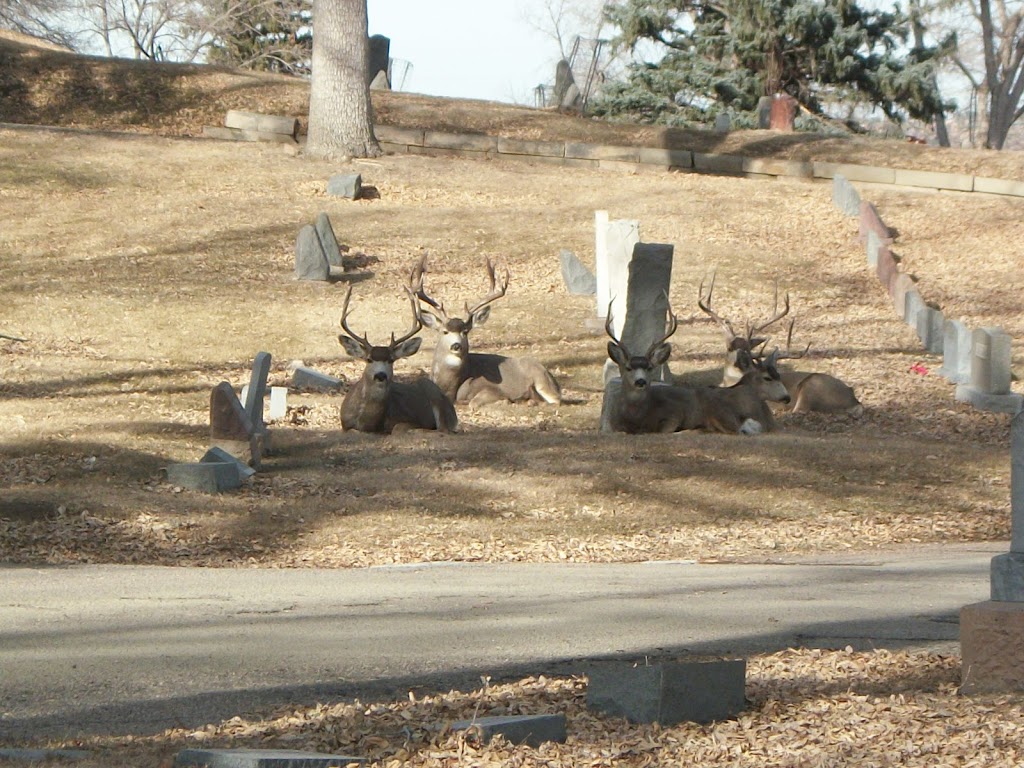 Fairview Cemetery | 1000 S 26th St, Colorado Springs, CO 80904, USA | Phone: (719) 385-6251