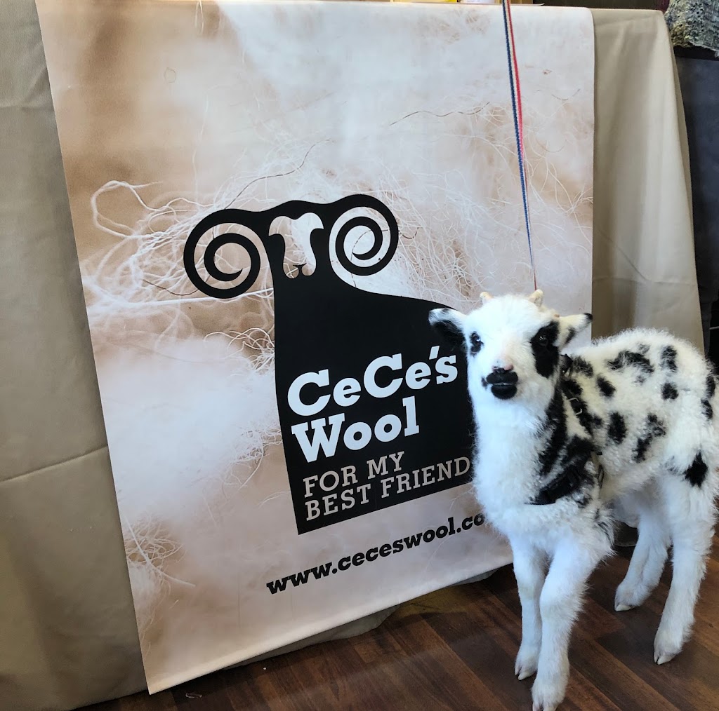 CeCes Wool Yarns and More | 2080 Western Ave, Guilderland, NY 12084, USA | Phone: (518) 608-6002