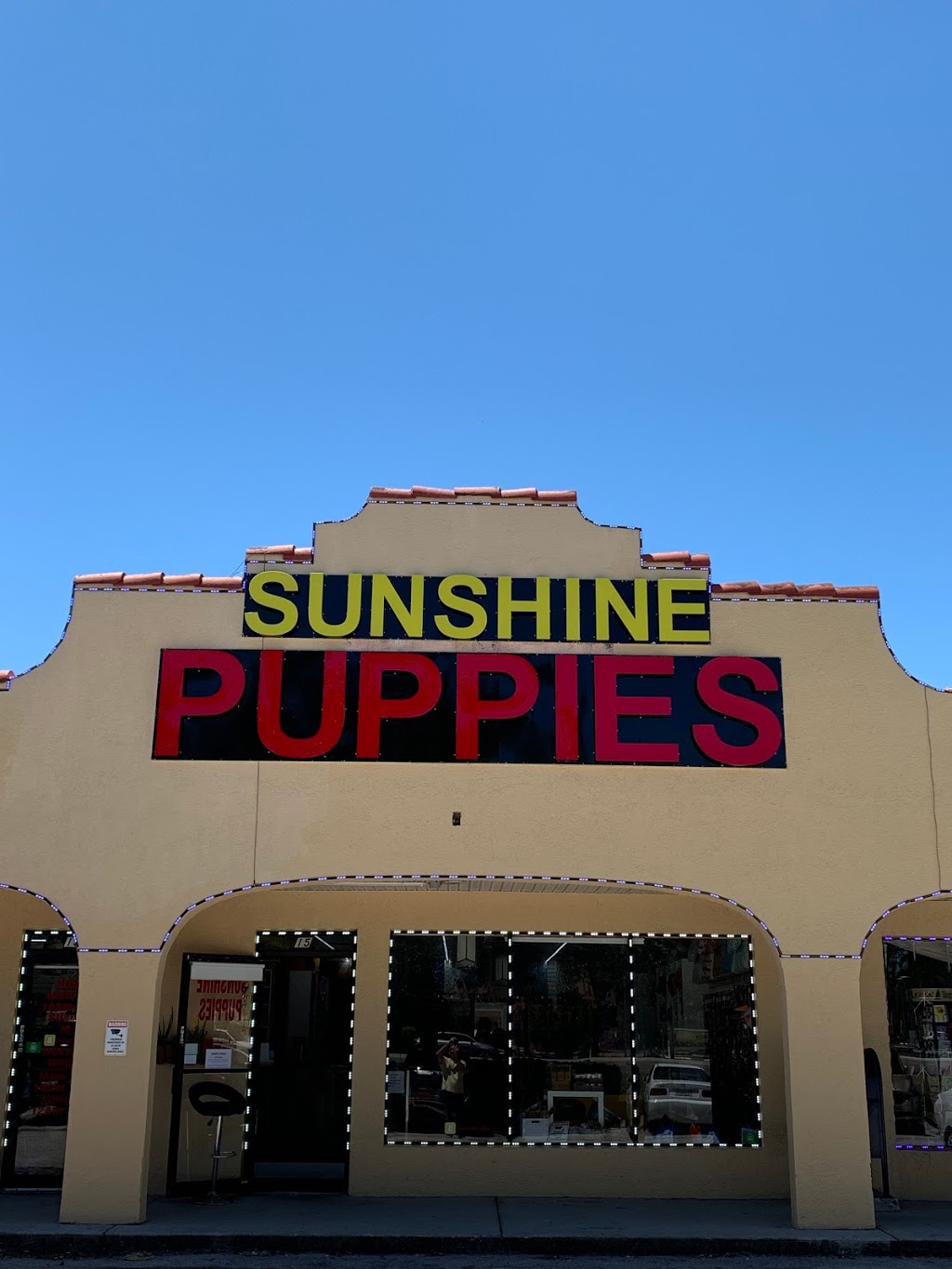 Sunshine Puppies | 7500 Ulmerton Rd #15, Largo, FL 33771, USA | Phone: (727) 333-7512