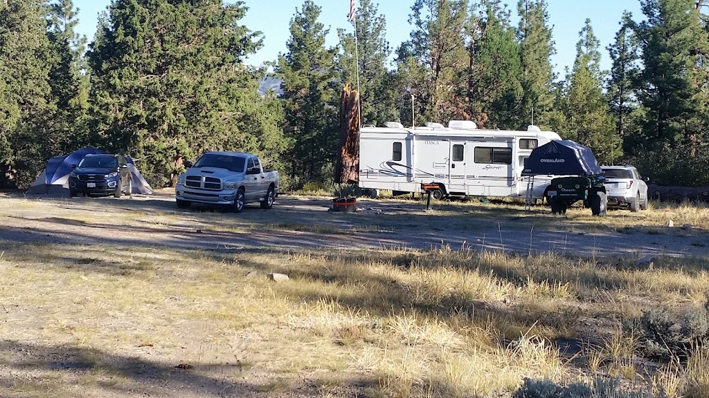 Green Spot Equestrian Group | 1908 Wildhorse Meadows Rd, Big Bear, CA 92314, USA | Phone: (877) 444-6777