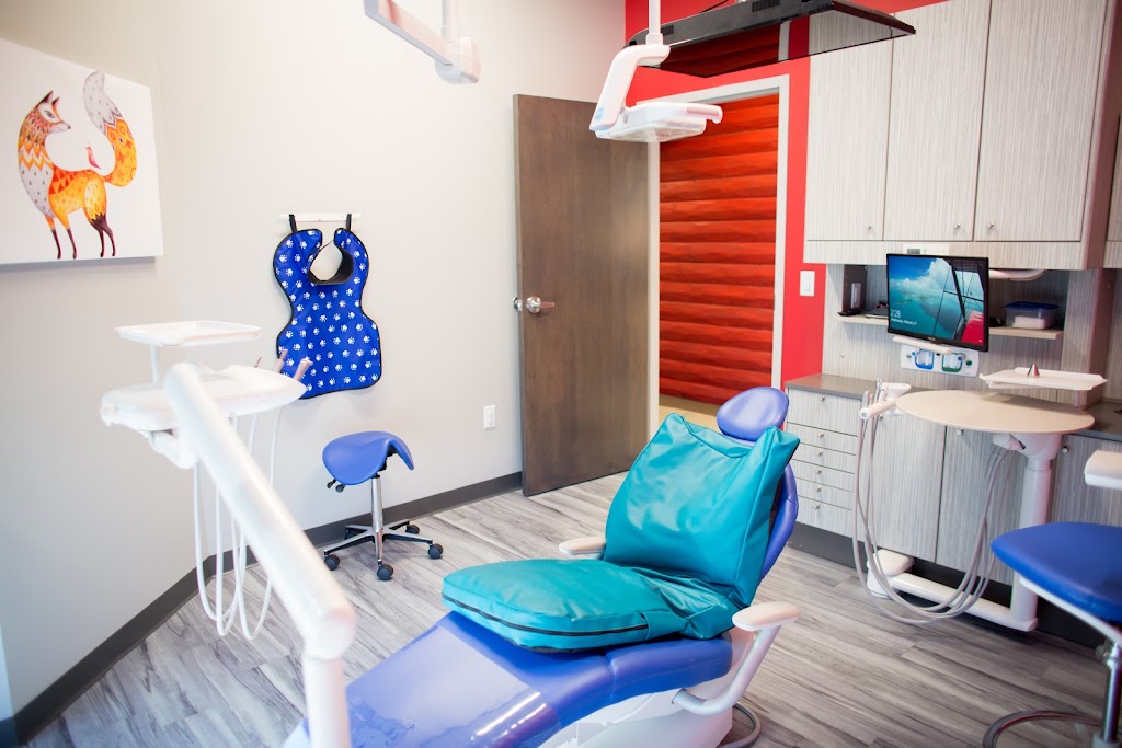 Blaine Kidds Pediatric Dentistry | 1351 113th Ave NE Suite #400B, Blaine, MN 55434 | Phone: (763) 415-1222