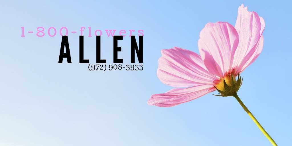 1-800 Flowers Allen | 710 E Main St, Allen, TX 75002, USA | Phone: (972) 908-3933