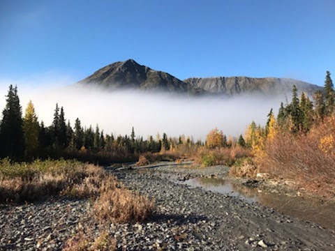 Granite Creek Campground | Moose Pass, AK 99631, USA | Phone: (907) 522-8368