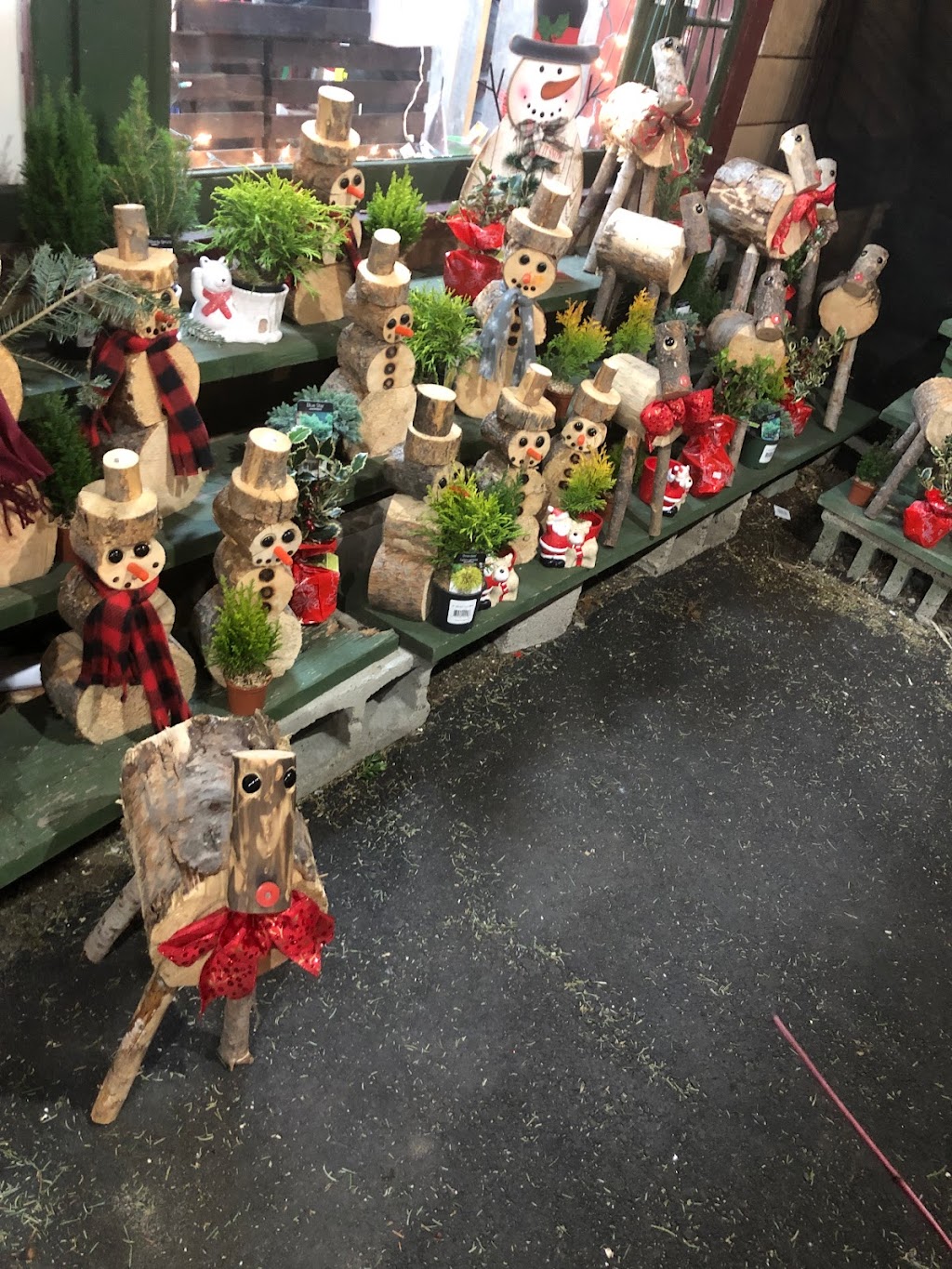 Little Brook Florist Farm & Garden Center | 190 Lincoln Ave, Saugus, MA 01906, USA | Phone: (781) 231-9663