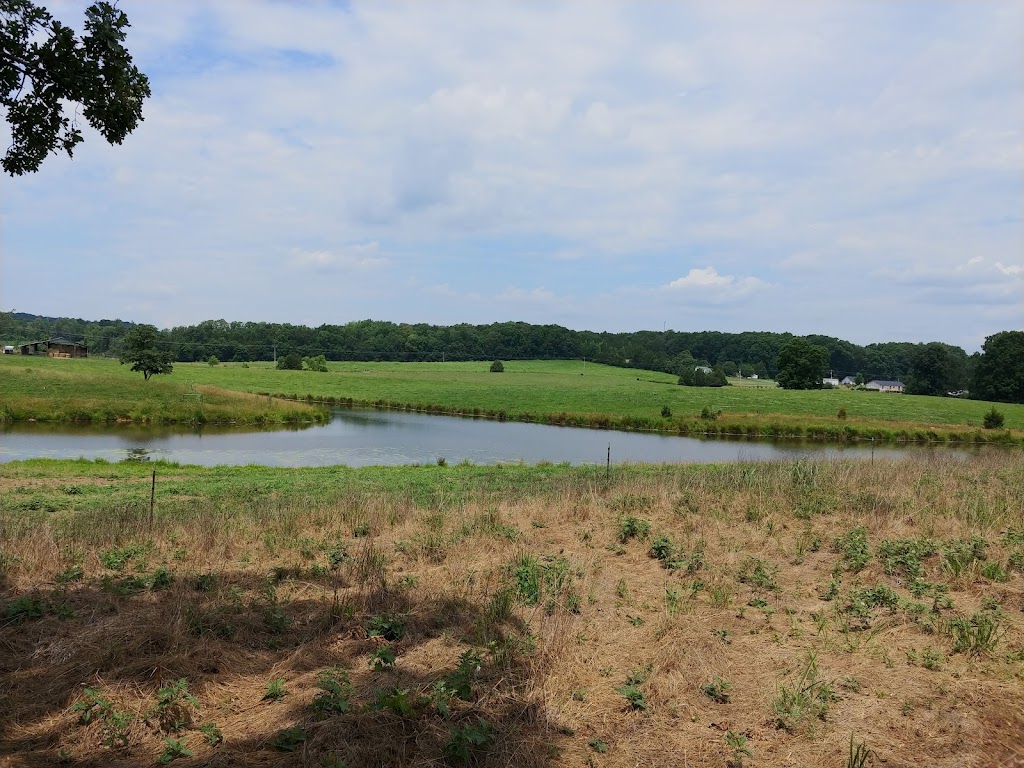 Bombay Park | 285 Bombay Rd, Denton, NC 27239, USA | Phone: (336) 242-2285