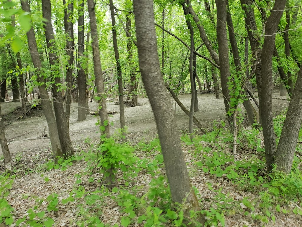 Minnesota River Bottoms Trails | 11115 Lyndale Ave S, Bloomington, MN 55420, USA | Phone: (952) 563-8700