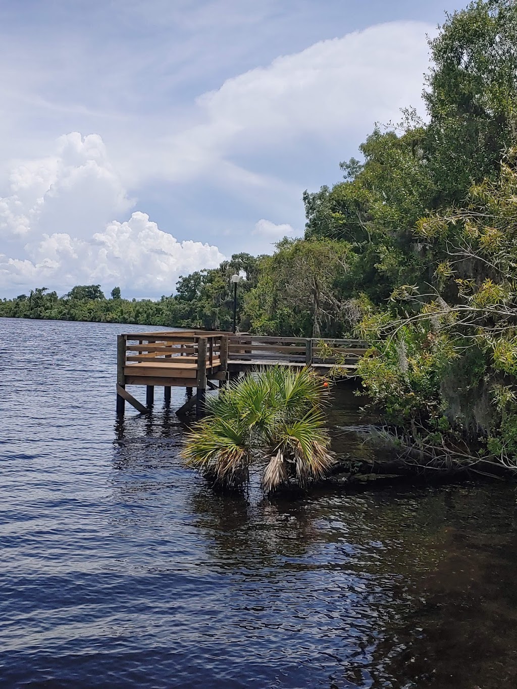 Peace River State Forest | 4300 County Rd 769, Arcadia, FL 34269, USA | Phone: (863) 491-5318