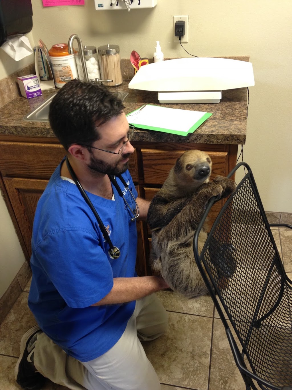 Cypress Lake Animal and Emergency Hospital | 38316 LA-929, Prairieville, LA 70769, USA | Phone: (225) 313-3057