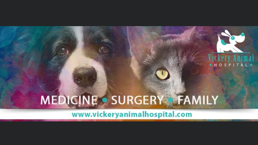 Vickery Animal Hospital | 5063 Post Rd Ste 104, Cumming, GA 30040, USA | Phone: (770) 220-7000