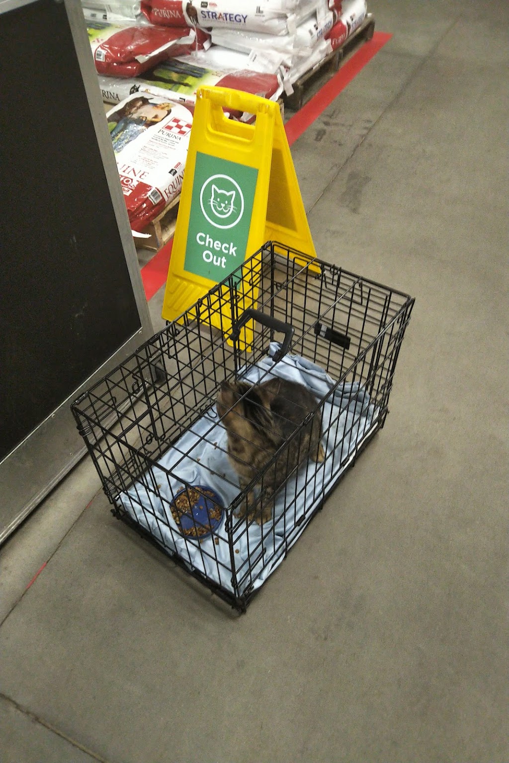 ProtectMyPet Vaccinations Clinic at Tractor Supply Co. | 115 Greystone Power Blvd, Dallas, GA 30157, USA | Phone: (770) 443-3352