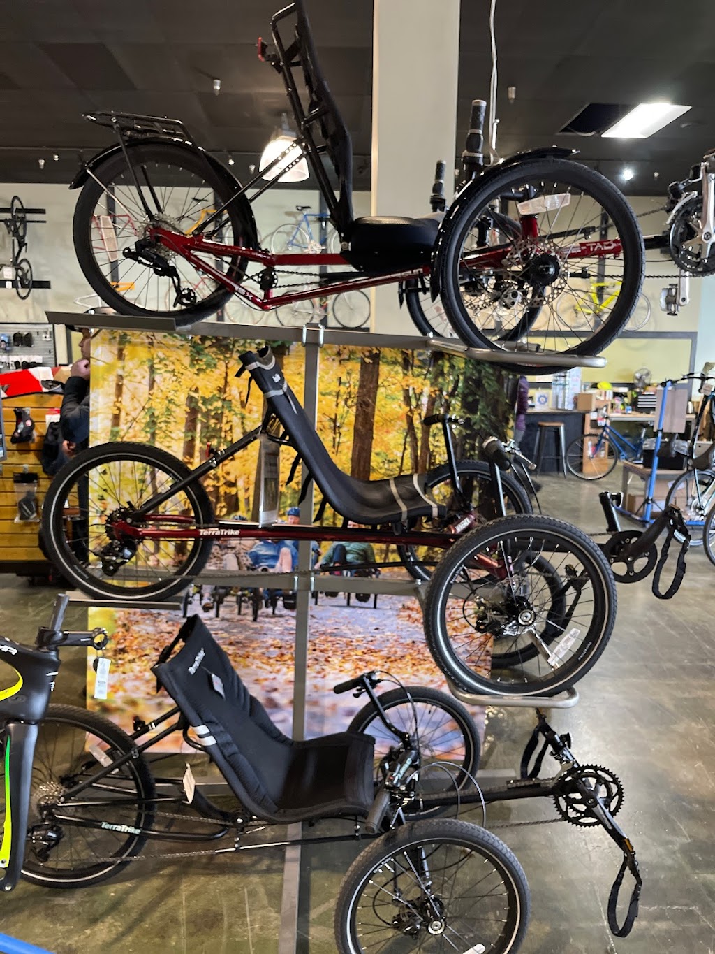 Aberdeen Bike | 1101 S Main St, Chelsea, MI 48118, USA | Phone: (734) 475-8203