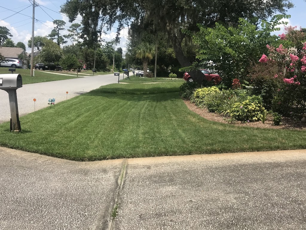 Scarano Lawn Care | 2626 Treehaven Dr, Deltona, FL 32738, USA | Phone: (386) 232-6089