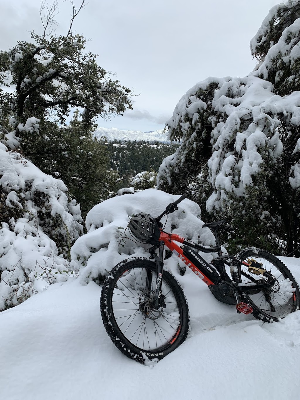 Open Trails E-Bikes | 2605 Lake Ave Suite #2, Altadena, CA 91001, USA | Phone: (626) 354-1989