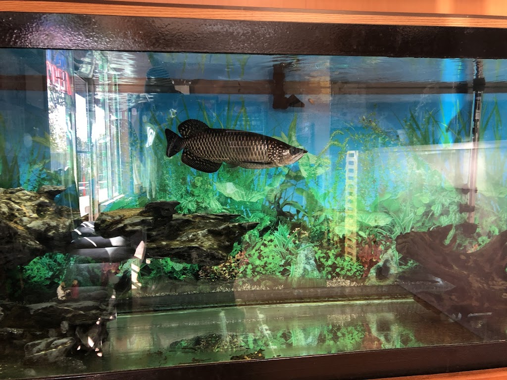 China Inn Restaurant/ No delivery | 216 New Castle Ave, New Castle, DE 19720, USA | Phone: (302) 655-7746