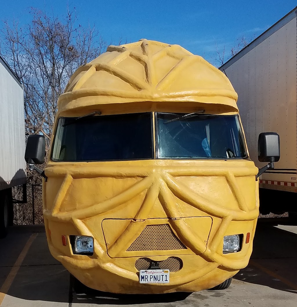 Splash of Color Hair Studio | 1014 Ohio Ave, Palm Harbor, FL 34683, USA | Phone: (727) 420-4127