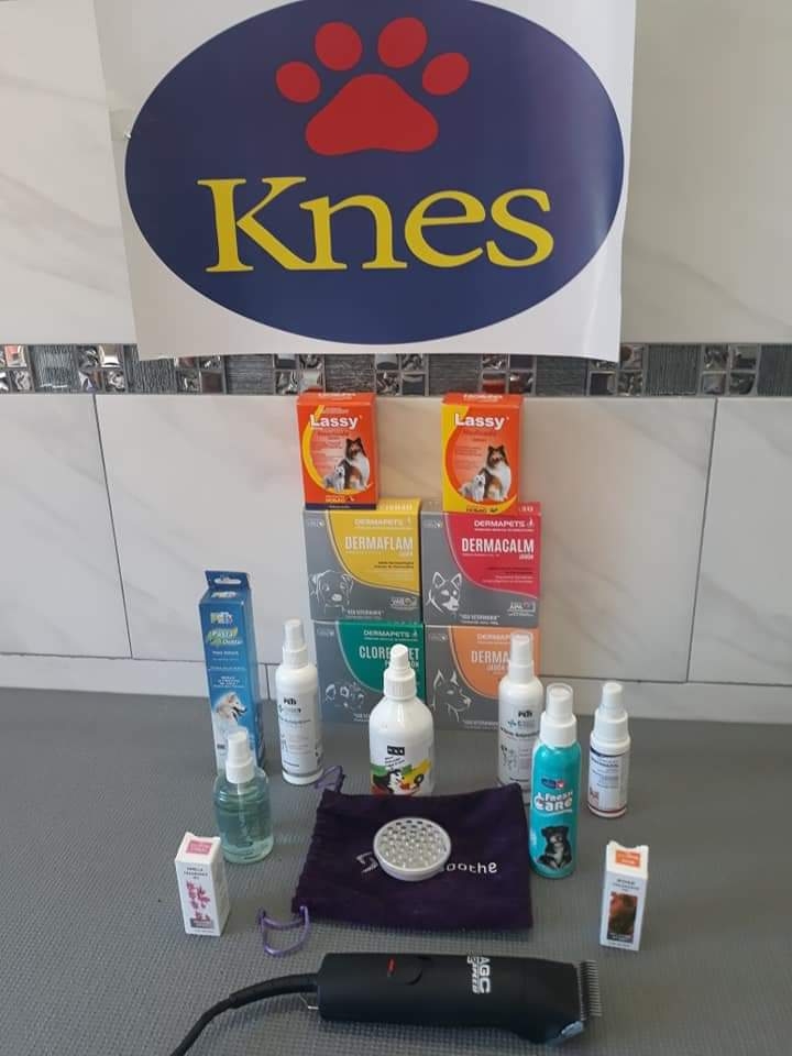 knes | de La Paz 630, Buena Vista, 22730 Tijuana, B.C., Mexico | Phone: 664 110 4216