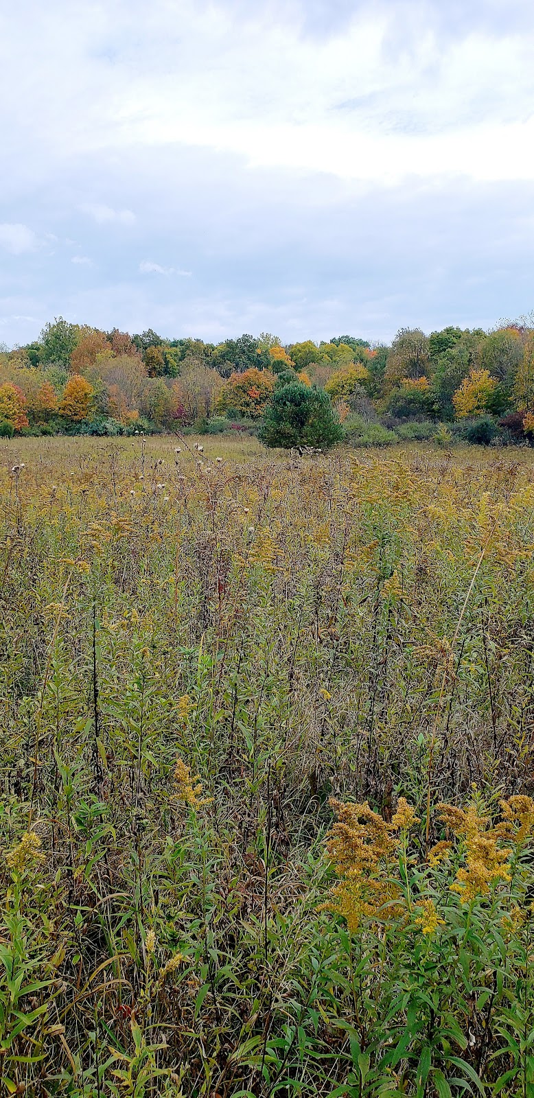 Denison Biological Reserve / Polly Anderson Field Station | 1760 North St NW, Granville, OH 43023, USA | Phone: (740) 587-0810