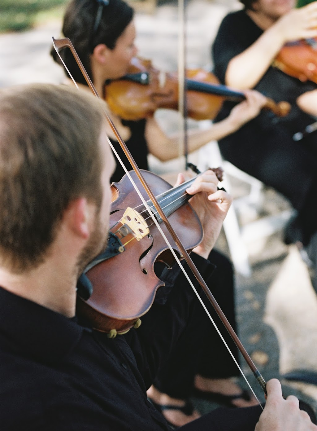 Meridian String Quartet | Taylor St, Fort Worth, TX 76102, USA | Phone: (817) 275-7252