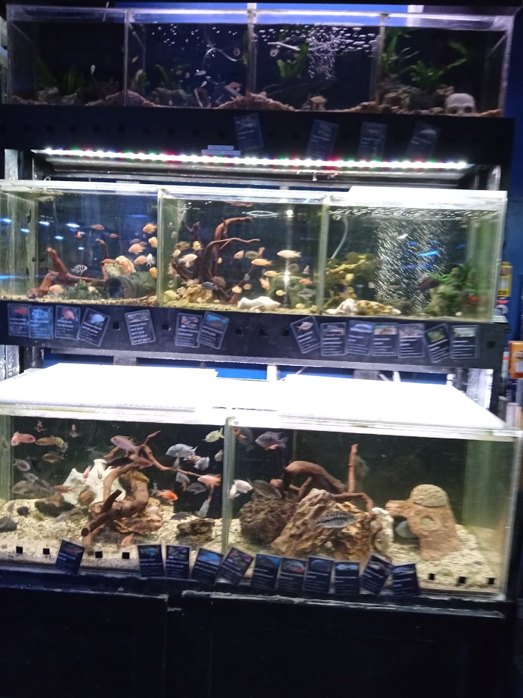 Aquatic Design Aquariums | 1629 N US 75-Central Expy 1000, Plano, TX 75075 | Phone: (972) 423-0414