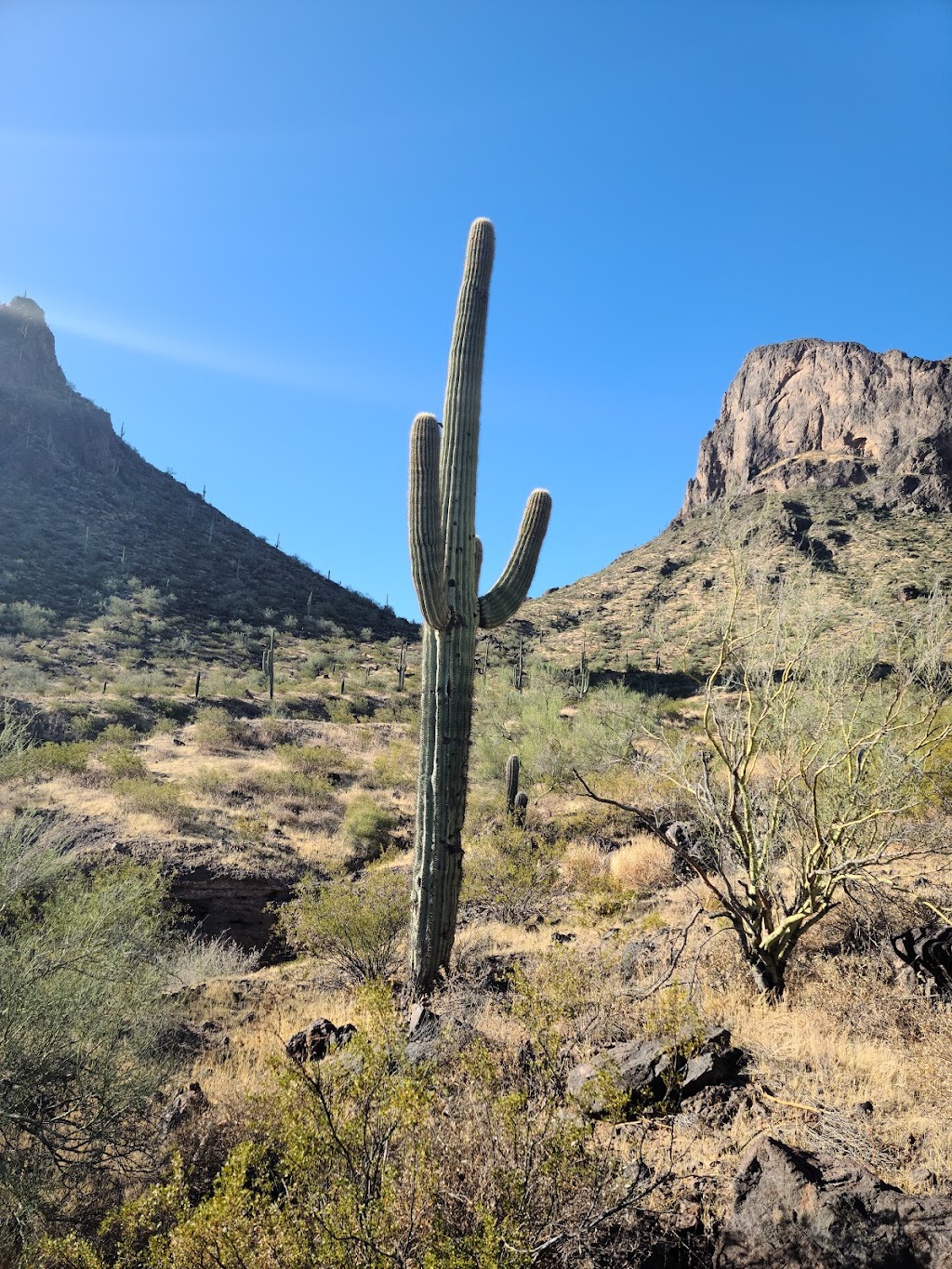 Picacho Peak State Park | 15520 Picacho Peak Rd, Picacho, AZ 85141, USA | Phone: (520) 466-3183