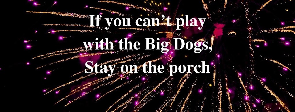 Big Dog Fireworks | 11196 WA-525, Clinton, WA 98236, USA | Phone: (360) 863-2756