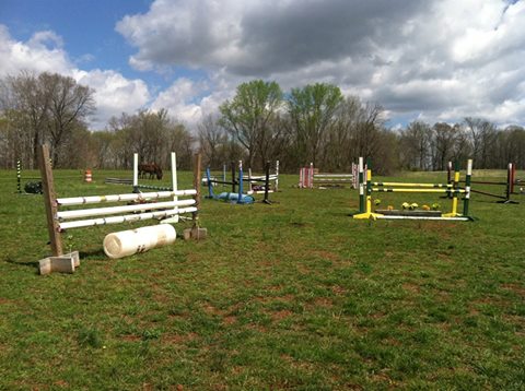 Double Take Stables | 7825 Yarborough Rd, Mebane, NC 27302, USA | Phone: (919) 903-6973