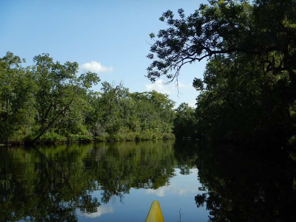 Amelia Island Kayak Excursions | 3 S Front St, Fernandina Beach, FL 32034, USA | Phone: (904) 557-5307