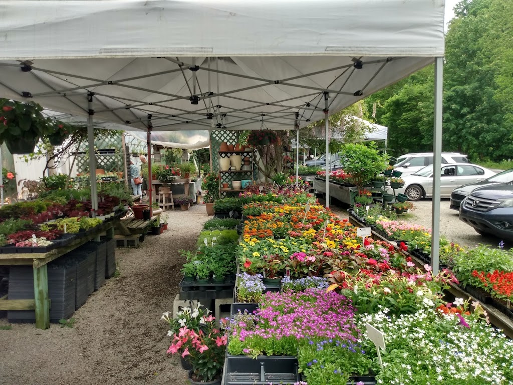 Shields Herb & Flower Farm | 374 Smith Creek Rd, Spraggs, PA 15362, USA | Phone: (724) 435-7246