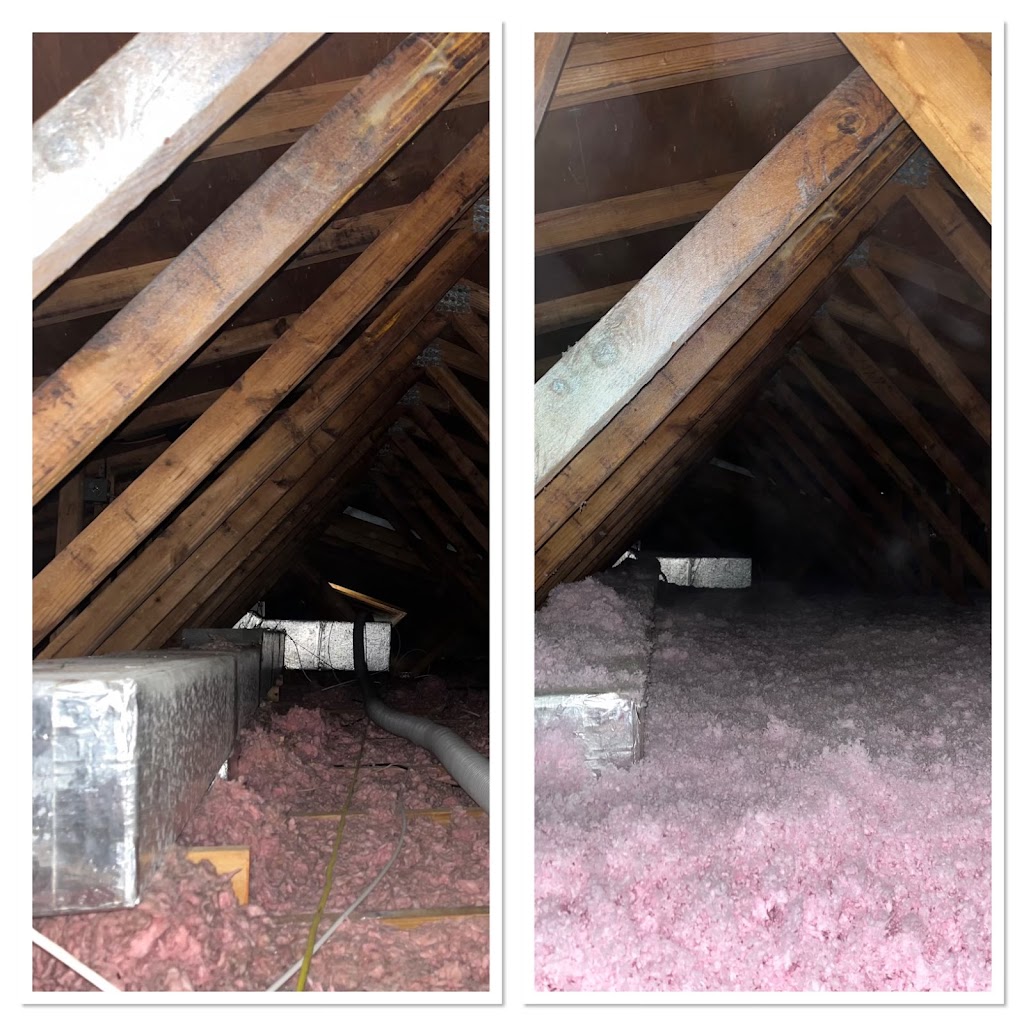 Elite Insulation, LLC - Batt & Blown in Fiberglass Insulation Contractor | 1631 Mann Rd, Lakeland, FL 33810, USA | Phone: (863) 651-5890